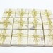 12 Medium Size Cream Mulberry Paper Gift Boxes with Gold Ribbon, Accessories Gift Box, Mulberry Paper Gift Box, Jewelry Box, Gift Box