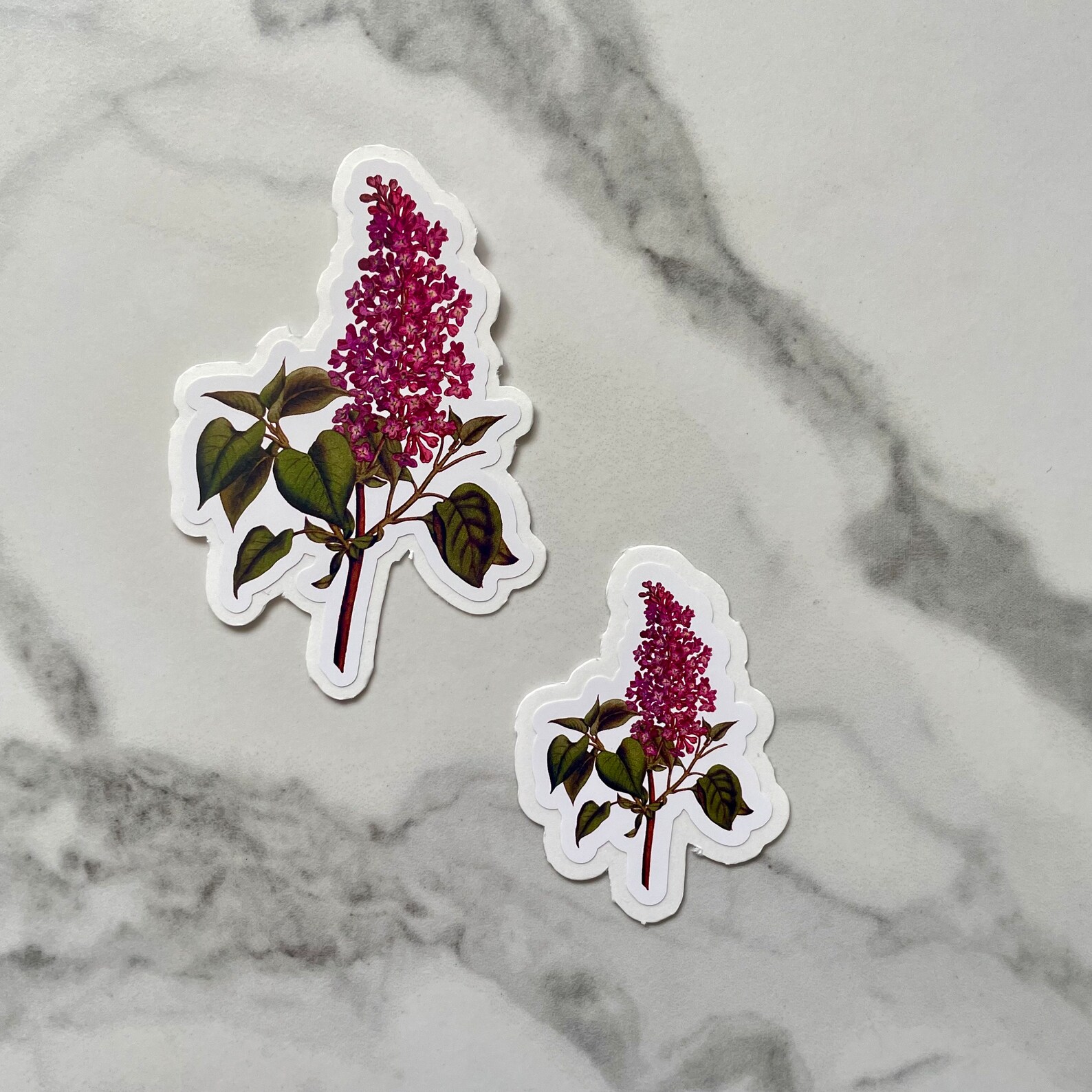Vintage Flower Sticker Pack: Waterproof Floral Illustration Stickers - Etsy