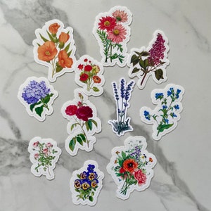 10 Vintage Flower Sticker Pack, Waterproof Vinyl sticker, Flower illustration stickers