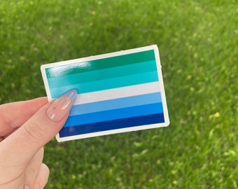 Puede incluir: Una pegatina con los colores de la bandera del orgullo genderqueer. La bandera tiene cinco franjas: verde azulado, azul claro, blanco, azul oscuro y verde azulado oscuro.