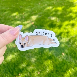 Splootin 'Frenchie Aufkleber, wasserdichter Vinyl-Hundeaufkleber, Französische Bulldogge