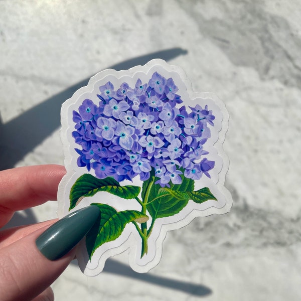 Hydrangeas Sticker, Waterproof Vinyl sticker, Flower sticker