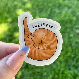 Custom Cat Sticker, “Shrimpin” cat shrimping waterproof vinyl sticker