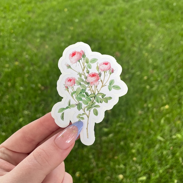 Pink Roses Sticker: Waterproof Vinyl Flower Decal