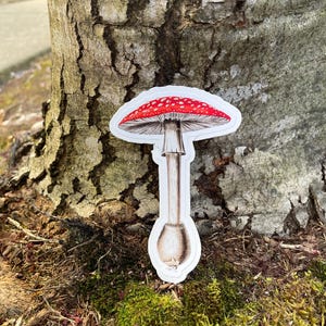 Sticker champignon tacheté, sticker vinyle imperméable, sticker cottagecore