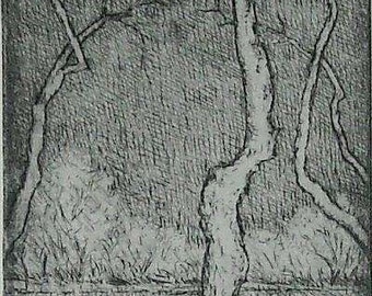 At the Pond. Drypoint. framed and ready to hang.