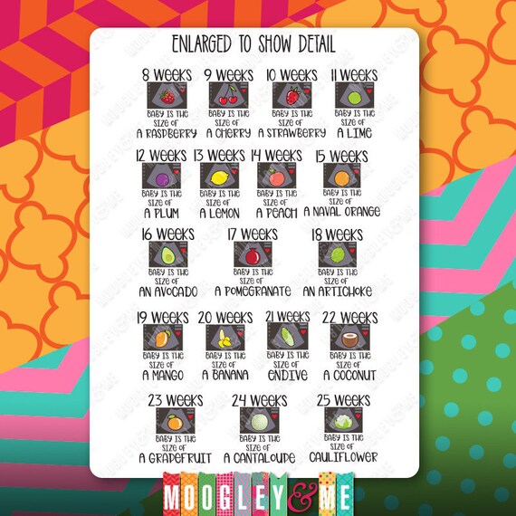pregnancy milestone tracker planner stickers milestone tracker