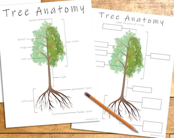Activité imprimable d'anatomie d'arbre, étiquetage de parties d'arbre, activité de jour d'arbre pour des enfants, leçon de la Science, étude d'arbre de jour de terre, apprentissage de Homeschool