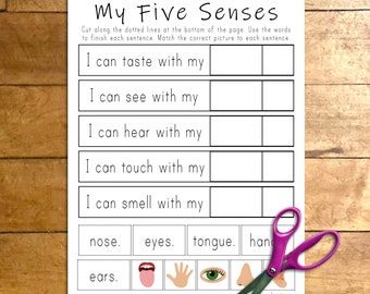 Actividad de cortar y ordenar de los cinco sentidos, recursos imprimibles para la enseñanza de ciencias, preescolar en el hogar, imprimible para niños