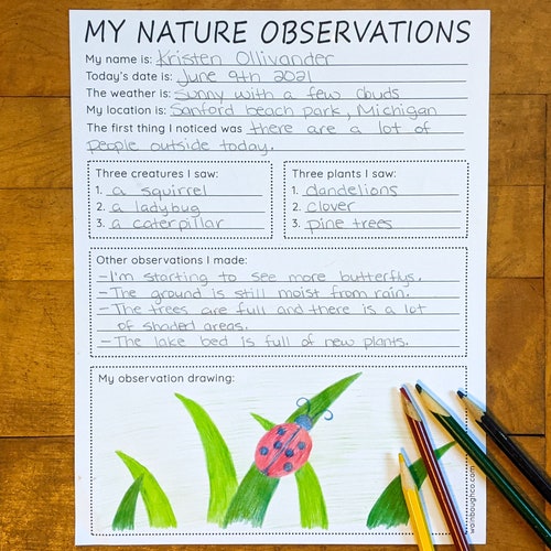 Nature Observations Journal Activity Printable Teaching Etsy