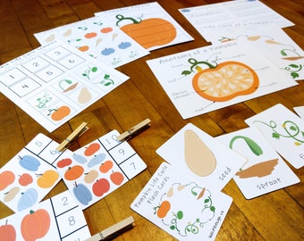 Pumpkin Themed Printable Activity Package, Life Cycle and Anatomy, Kids Educational Downloads, Fall Teaching Resources, Homeschool Lessons