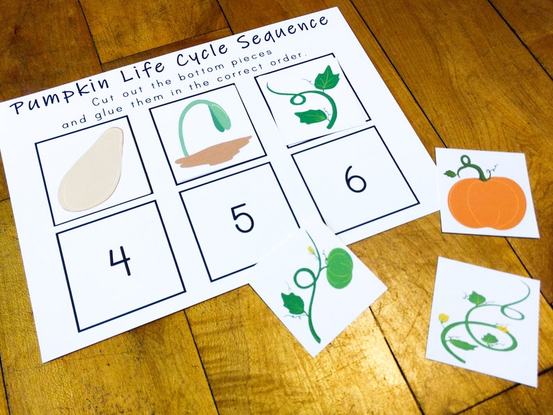 Pumpkin Life Cycle Sequence Cards