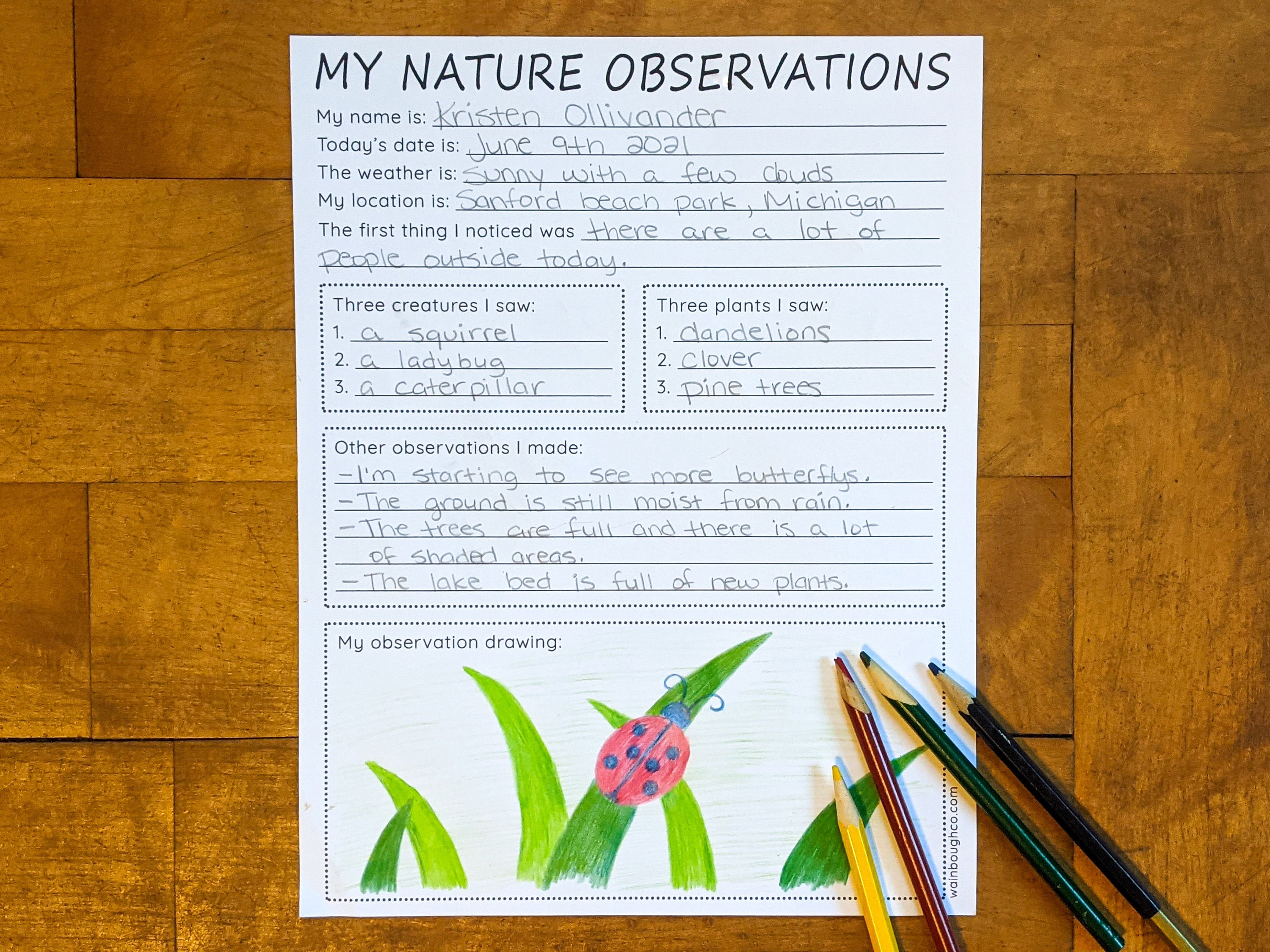 Nature Observations Journal Activity Printable Teaching Etsy