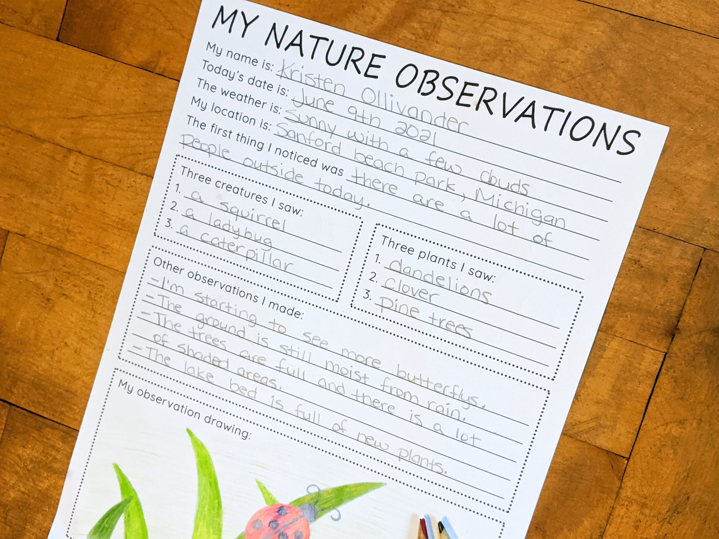 Nature Observations Journal Activity Printable Teaching Etsy