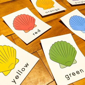 May include: Six cards with seashells and colour words. The shells are red, yellow, green, blue, orange, and purple. Each card has a seashell and the colour word written below it.