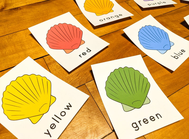 May include: Six cards with seashells and colour words. The shells are red, yellow, green, blue, orange, and purple. Each card has a seashell and the colour word written below it.
