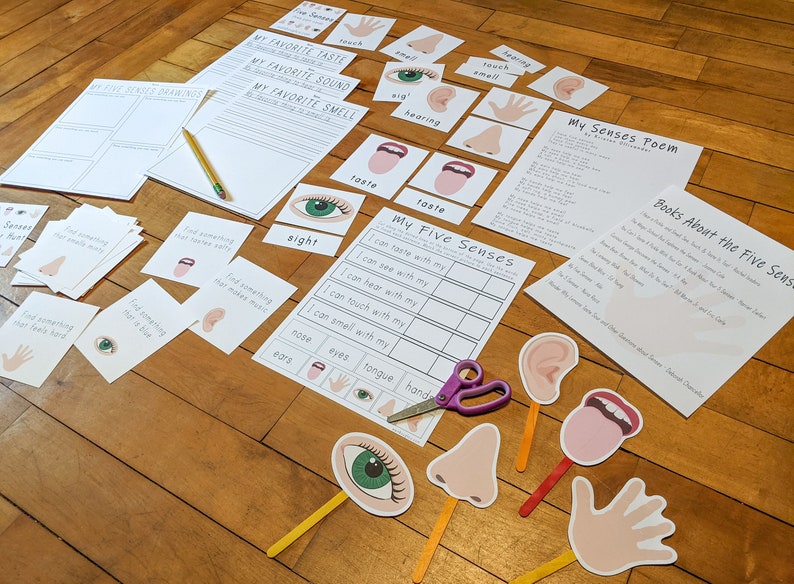 Senses Unit Study Kids Educational Downloads Science Teaching Resources Five Senses Printable Activity Package Homeschool Lessons