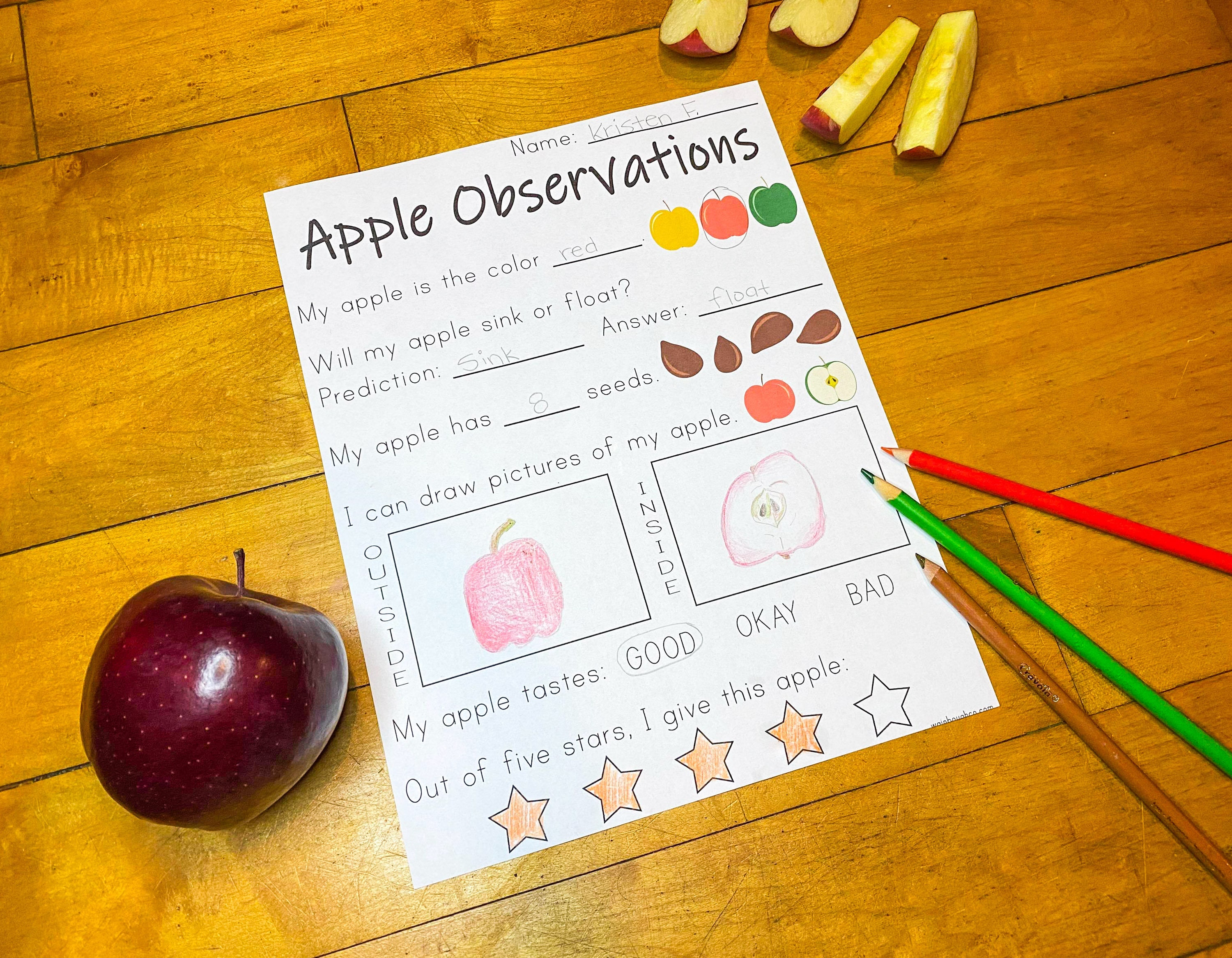 Apple Observations Printable Activity Preschool Science - Etsy