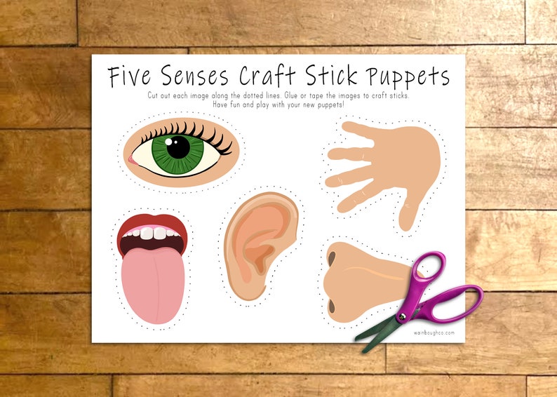 Five Senses Puppets Craft Stick Printable Puppets Kids - Etsy