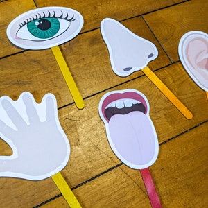 Five Senses Puppets, Craft Stick Printable Puppets, Kids Pretend Play, Science Activity, Learning Toy