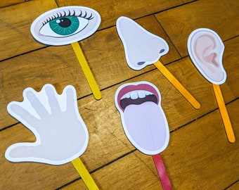 Títeres de los cinco sentidos, títeres imprimibles con palitos artesanales, juego de simulación para niños, actividad científica, juguete de aprendizaje