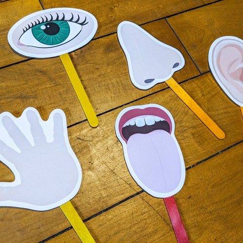 Five Senses Puppets Craft Stick Printable Puppets Kids - Etsy
