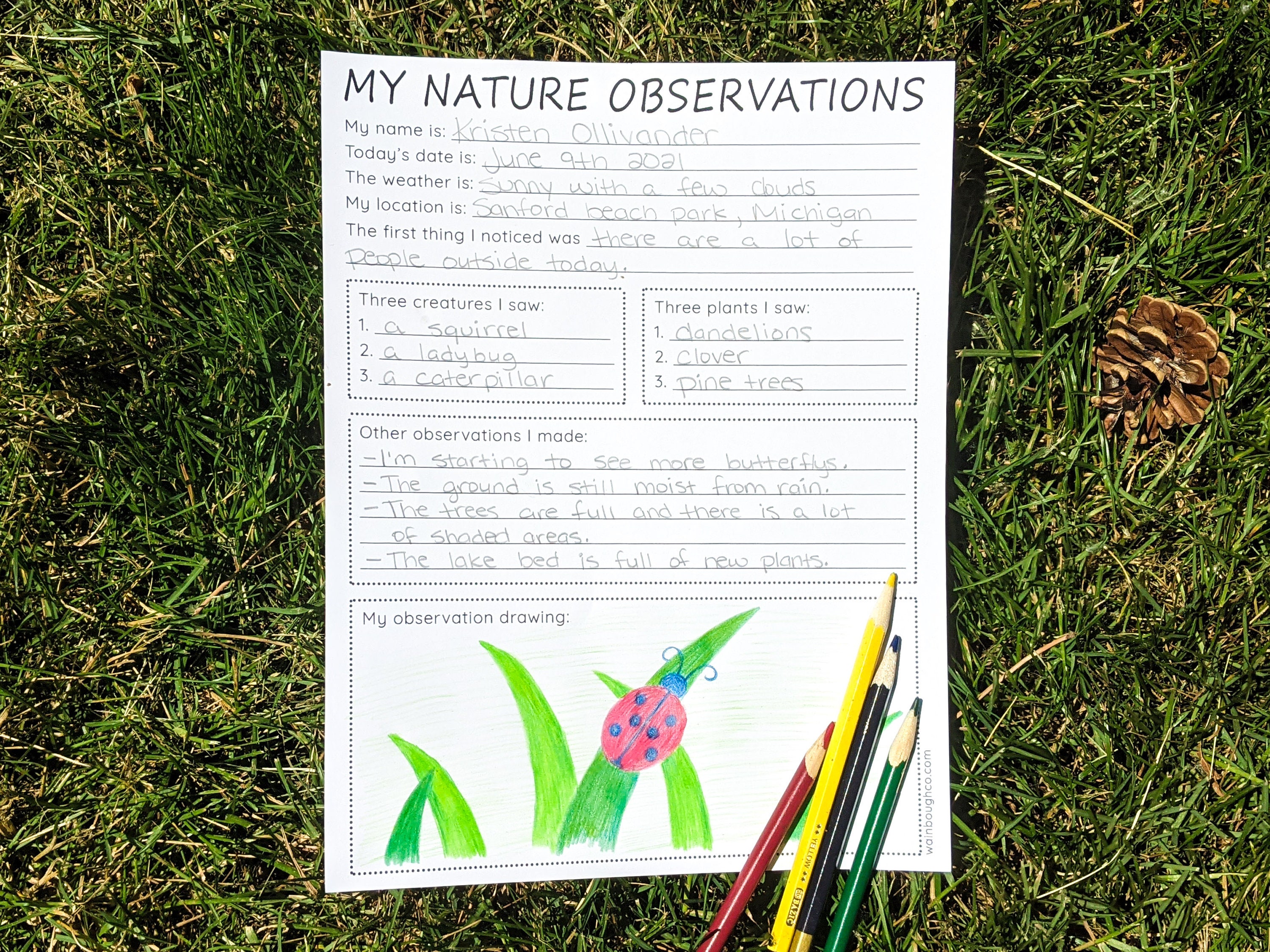 Nature Observations Journal Activity Printable Teaching Etsy