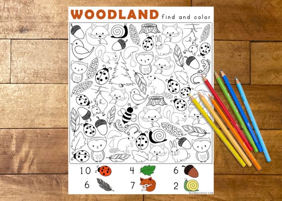 Find and Color Woodland Activity Printable Coloring Page for