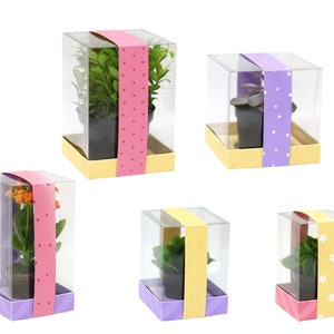 Clear Boxes for Mini Vases 3D papercrafts plants mother projects cutting files for silhouette cricut work scrap svg Nilmara Quintela image 3