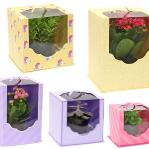 Clear Boxes for Mini Vases 3D papercrafts plants mother projects cutting files for silhouette cricut work scrap svg Nilmara Quintela image 2