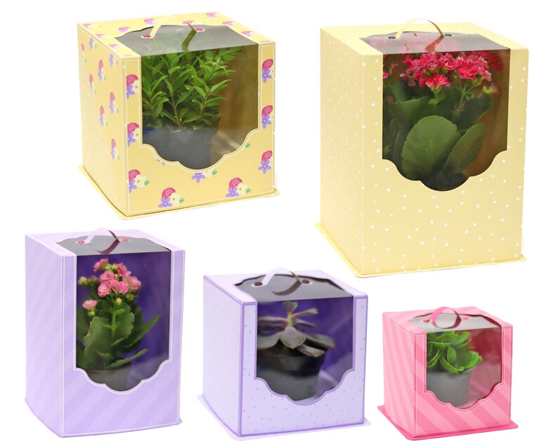 Clear Boxes for Mini Vases 3D papercrafts plants mother projects cutting files for silhouette cricut work scrap svg Nilmara Quintela image 2
