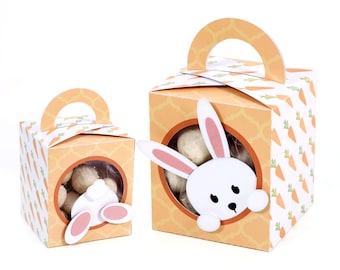 Rabbit in Burrow Box Project paper crafting - candy box chocolate easter svg silhouette cricut 3D template instant download Nilmara Quintela