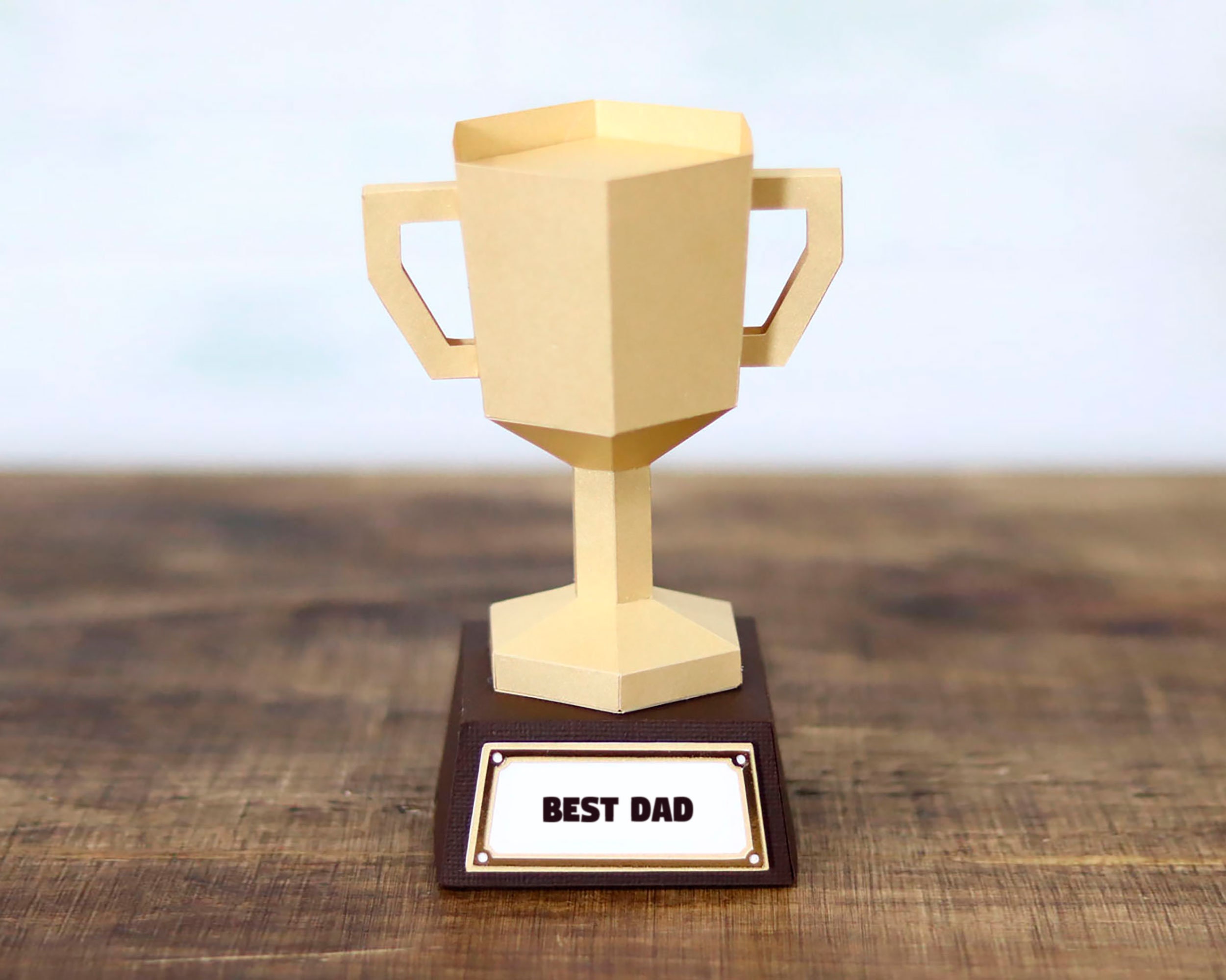Mondstuk Rang Vijf 3D Best Dad Trophy Box winnaar sport papa vaderdag zoon - Etsy België