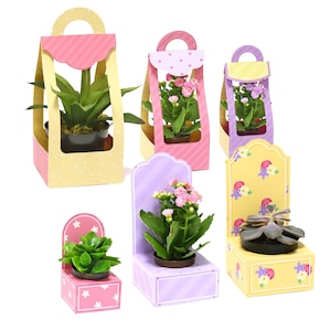 Tassen voor minivazen - 3D papercrafts planten moeder projecten snijden bestanden voor silhouette cricut werk schroot aanpasbare svg Nilmara Quintela