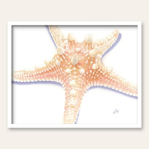 May include: A watercolor painting of a pale pink starfish with white spots. The starfish is on a white background.