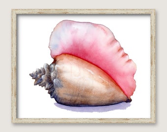 Queen Conch Shell PRINT - Original Watercolor Painting - Beach House Art - Coastal Wall Decor