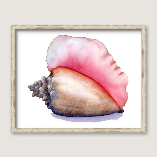 Queen Conch Shell PRINT - Original Watercolor Painting - Beach House Art - Coastal Wall Decor