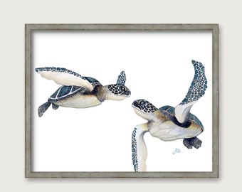 Sea Turtles PRINT - Original Watercolor GICLEE - Majestic Green Loggerhead Leatherback Hawks Bill Kemps - Wall Decor Print