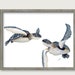 see more listings in the Animals, Shells, Birds section