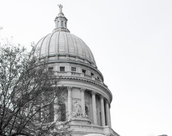 Madison Capital Portrait edition with tulips