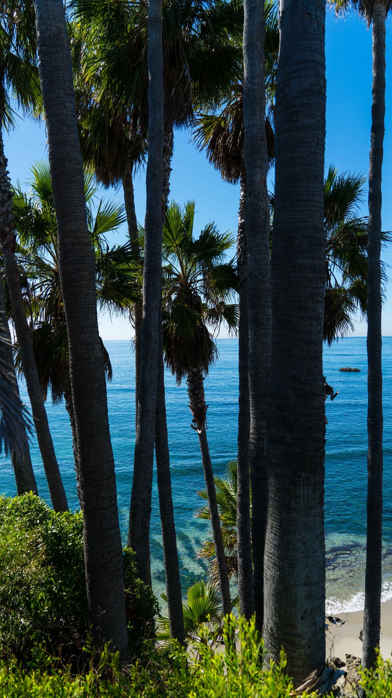 Laguna Beach private beach under cliffs thru palm trees