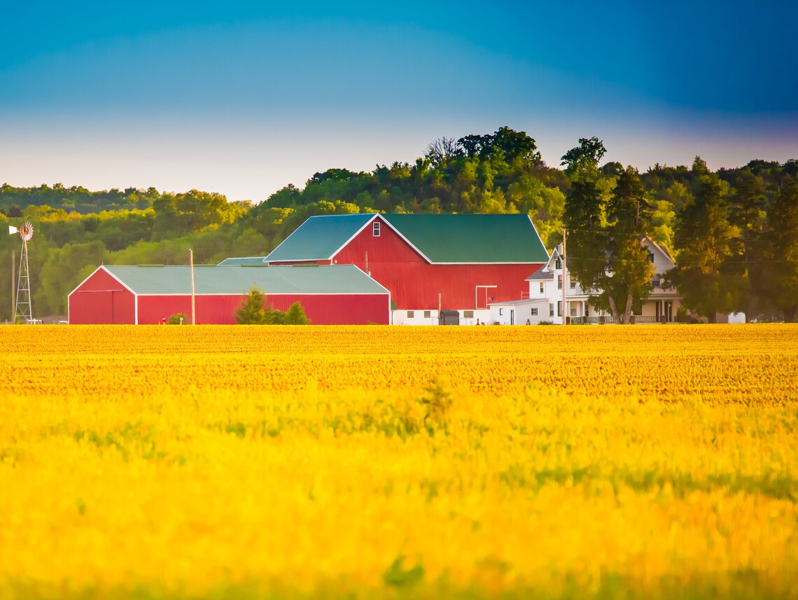 Wisconsin Farm Red Barn Wheat Field Etsy