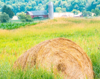 Old tobacco  Barn on wisconsin farm with farm in background