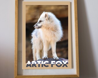 Arctic Fox Photo Print: Wildlife Animal Photography (Digital Download)