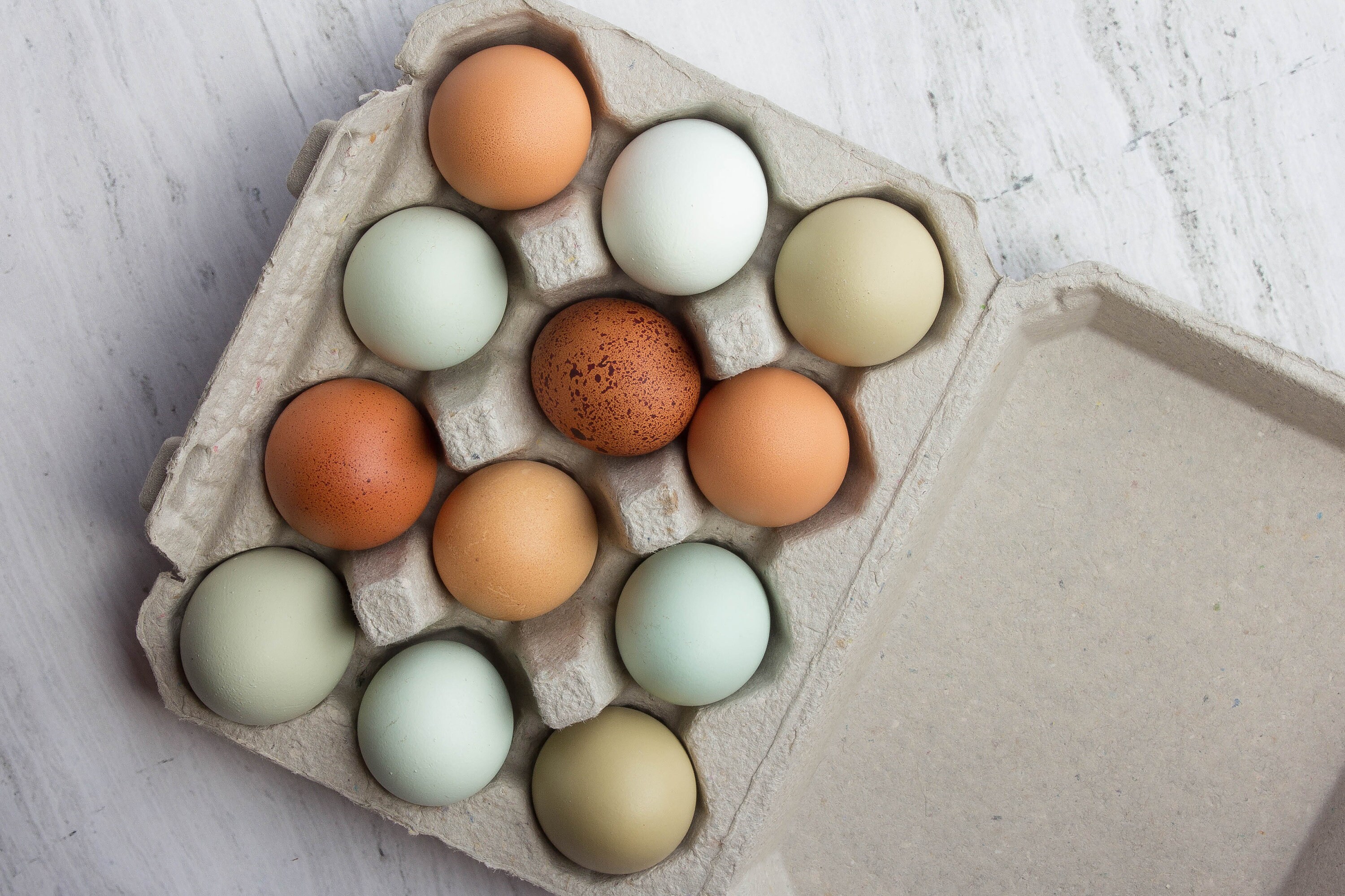 Egg's in a Carton, Egg Carton Full of Eggs, Kitchen Decor, Kitchen