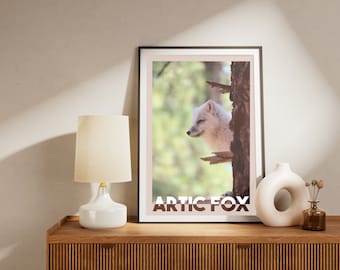Arctic Fox Photography Print: Wildlife Animal Art (Digital Download)