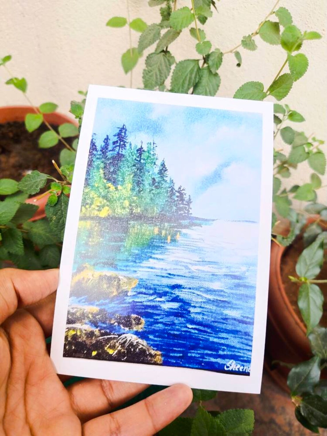 Postcard Set of 5 Postcard Prints Nature Themed Art Print | Etsy