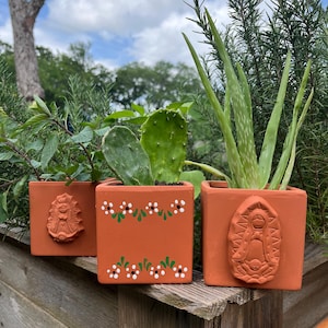 May include: Three terracotta square planters with plants. The planters are decorated with white flowers, green leaves, and religious relief images. The plants include a cactus, aloe vera, and herbs. The planters are on a wooden surface.