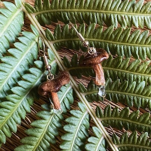 May include: A pair of brown mushroom-shaped earrings with gold hooks. The earrings are made of resin and have a clear, glossy finish. They are hanging on a green fern leaf.