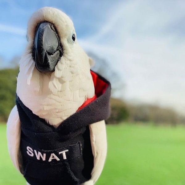 Pet parrot bird SWAT hoodie - all sizes - extra petite to large